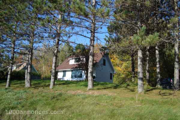 Propriétés à vendre