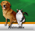 petites annonces classees categorie Animaux