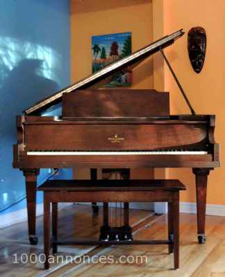 Instruments de musique