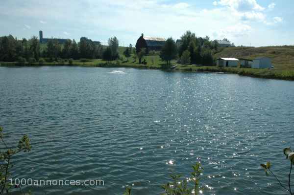 Terrain, Ferme