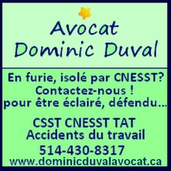Services offerts, Entrepreneurs