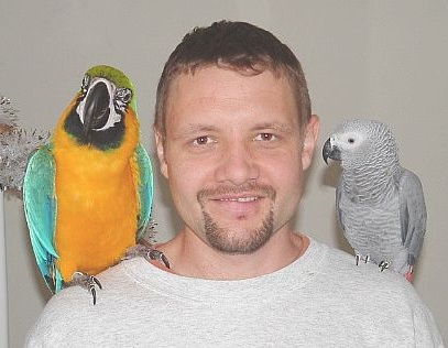 Oiseaux