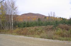 Terrain, Ferme
