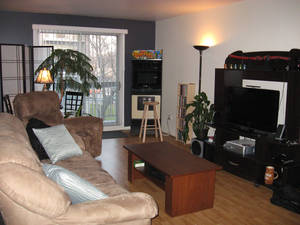 Services immobilier